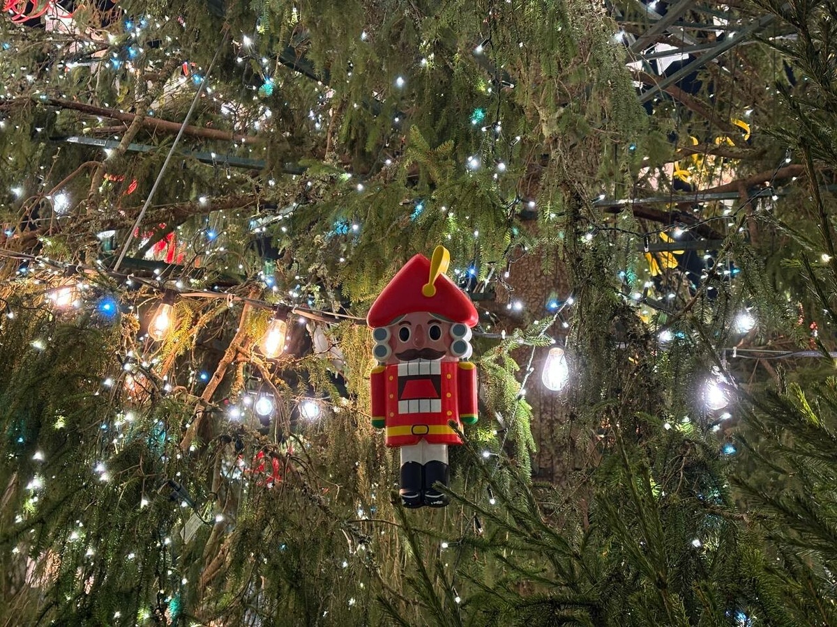 Фото: Neva.Today