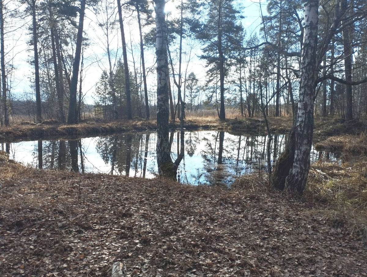 Озеро вырыли сами жители Пантино