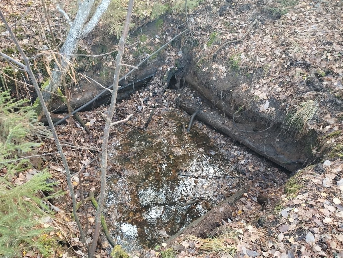 От домов в Пантино остались только залитые водой погреба и озеро