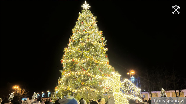     Фото: t.me/spbprav   
 Текст: Тимур Шайдуллин