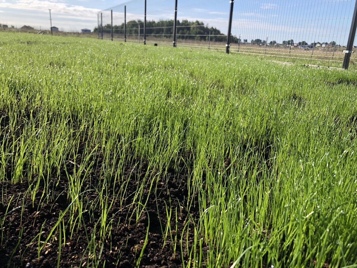 Материал предоставлен проектом "Строительная Россия"