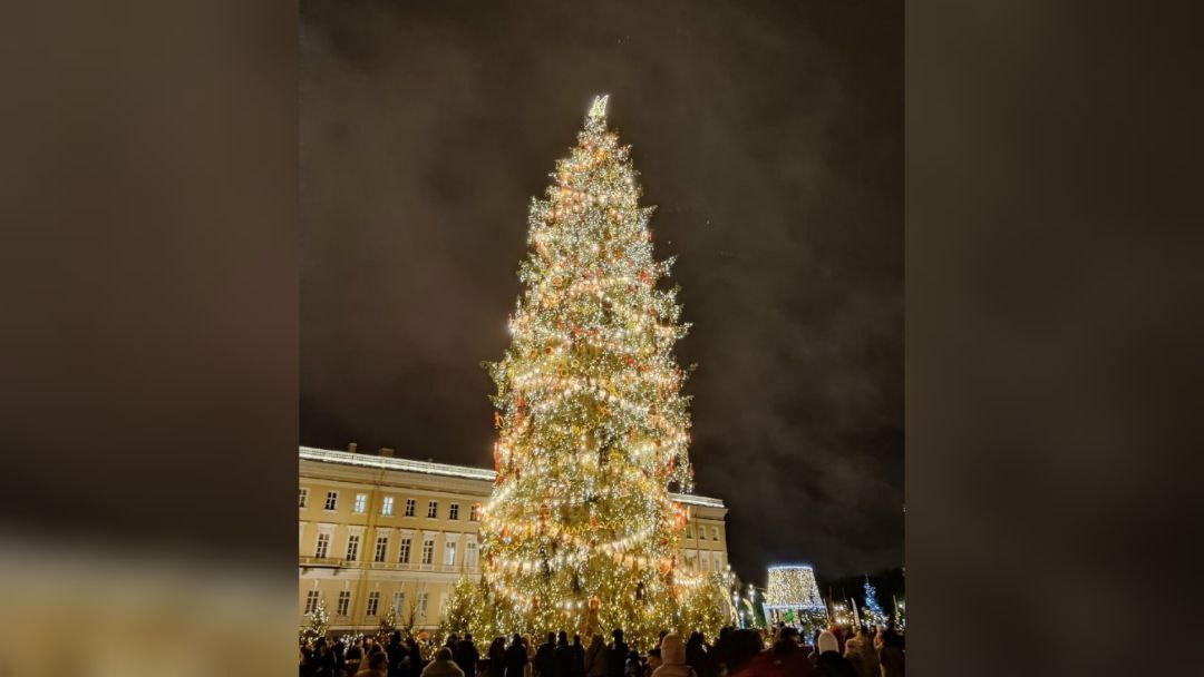 © vk.com/ Lana Groma