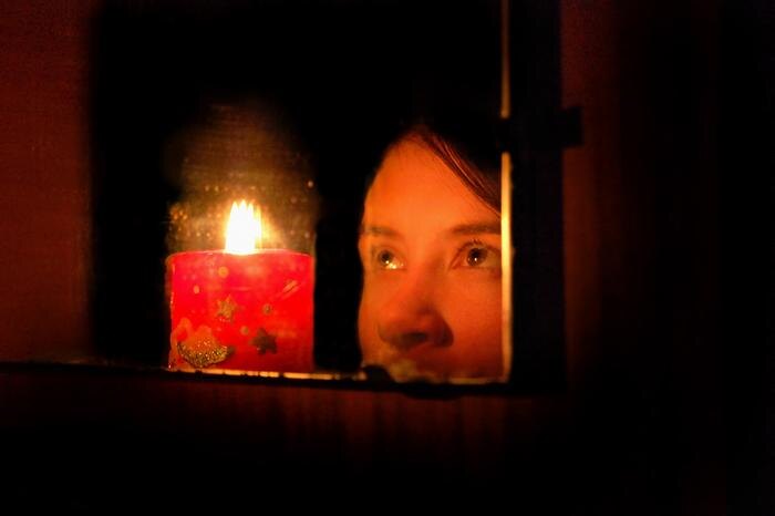 Обложка © Shutterstock / FOTODOM / danshanin