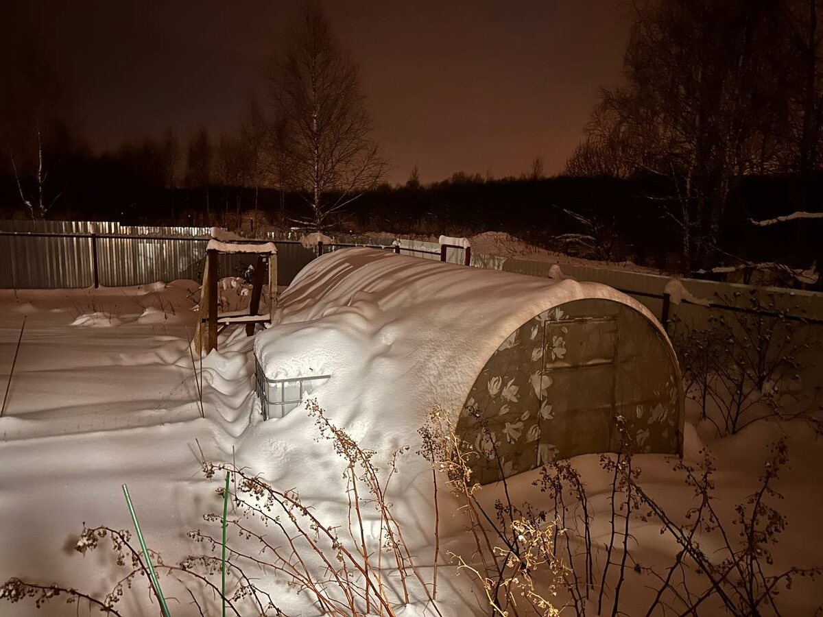 Теплица под снегом 