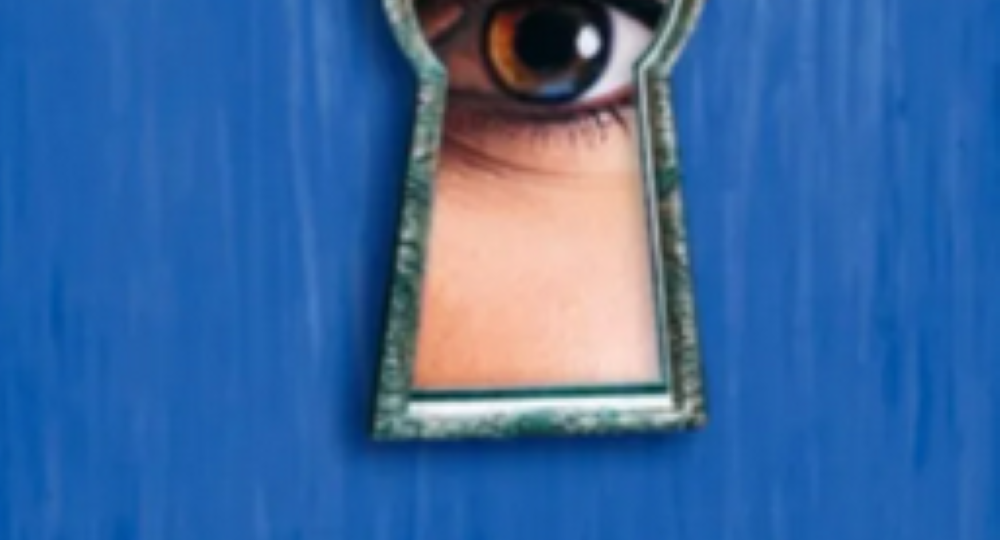 "Горничная", "служанка", "домработница"... - что же написала Фрида Макфадден?