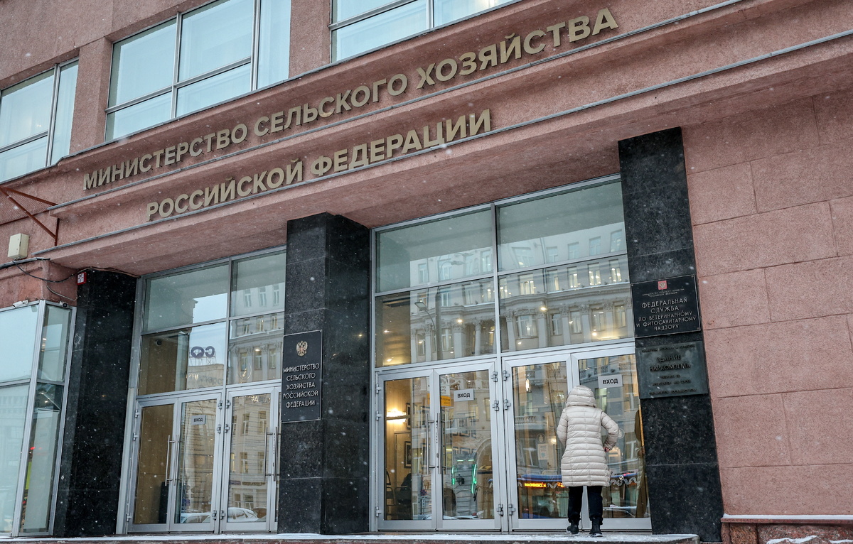 Софья Сандурская/ТАСС