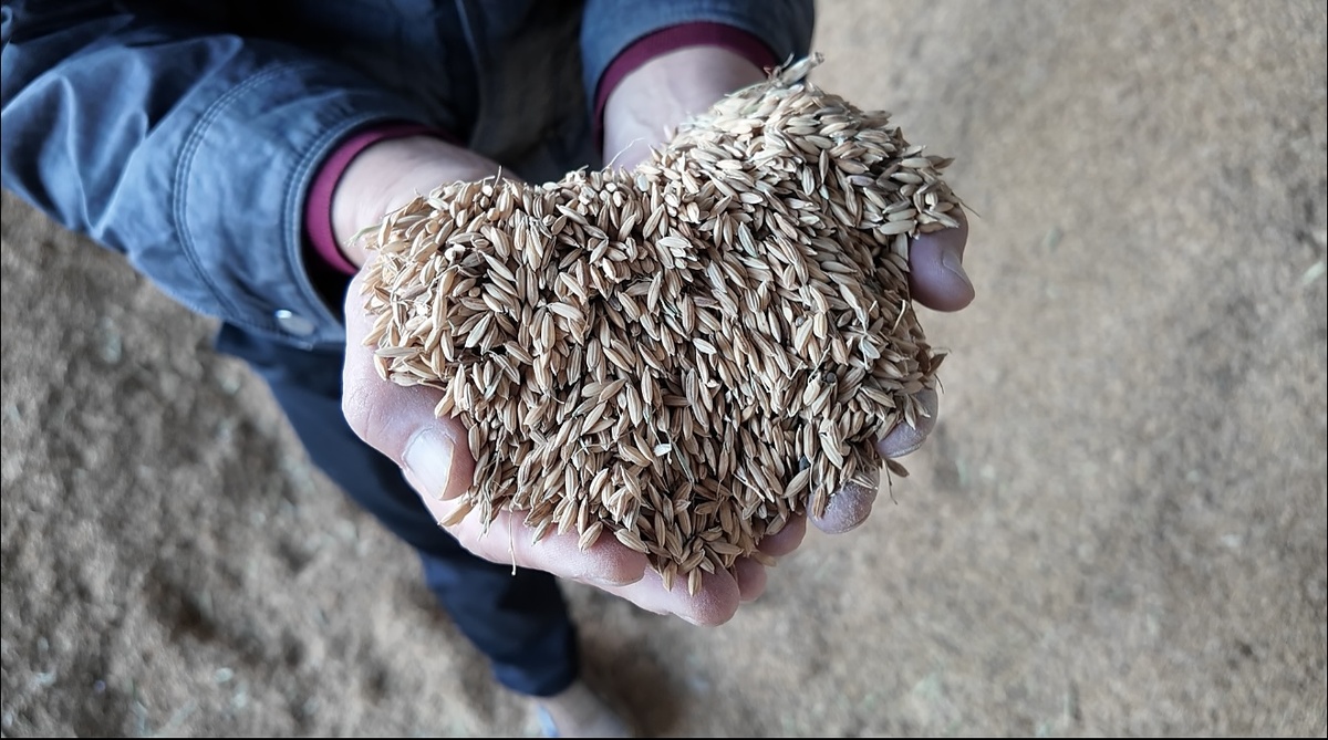  📷    «Моя «Пятилетка 14». Гарантируя продовольственную безопасность страныПавел Лопатко