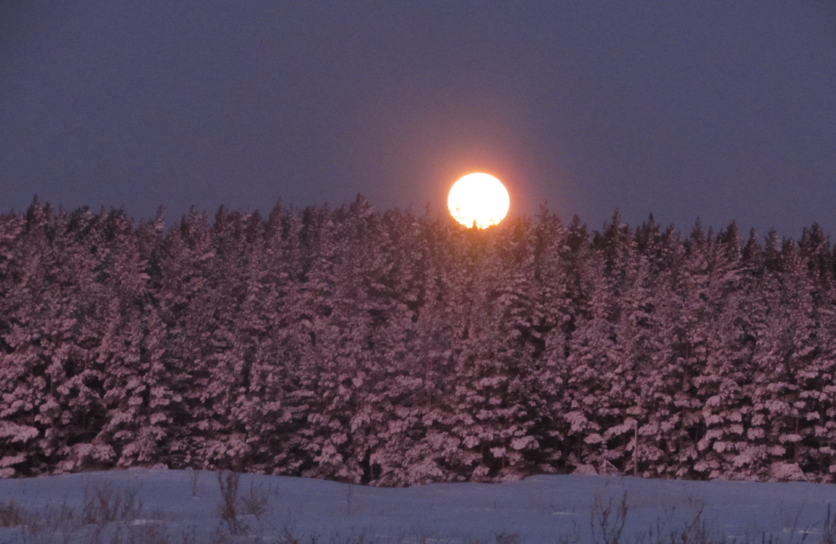 Удивительно, если на телефоне увеличить эту Луну, то она начинает светить прямо в глаза. 
