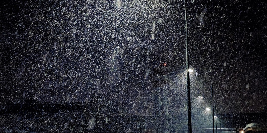 "В белоснежном царстве, в тишине ночной