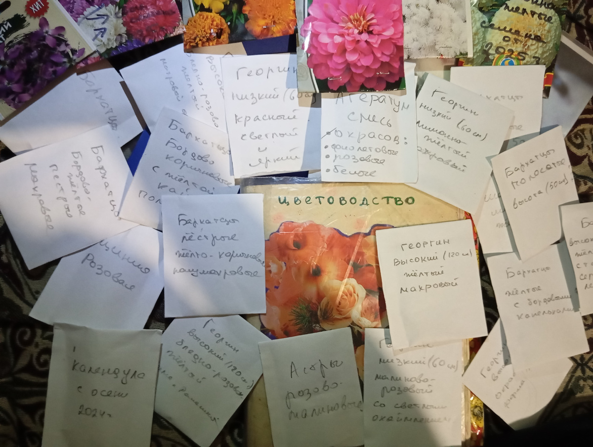 Мой, уже имеющийся, ассортимент семян цветов на 2026г