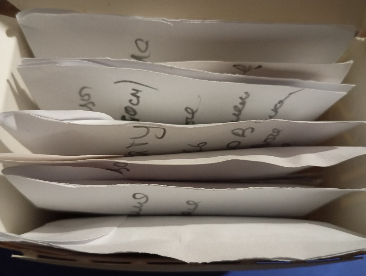 Система хранения своих семян, 90% которых собраны в 2025г. и 10% в 2024г. Свои семена - самая лучшая гарантия их свежести, а значит и всхожести.