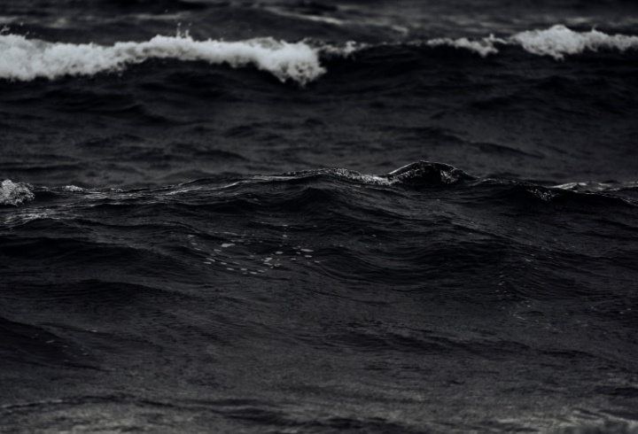 фото: pxhere.com