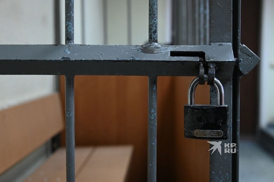    Суд приговорил женщину к двум с половиной годам лишения свободы в колонии-поселении Ольга ЮШКОВА