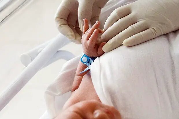    Фото: lenta.ru Павел Евсеев