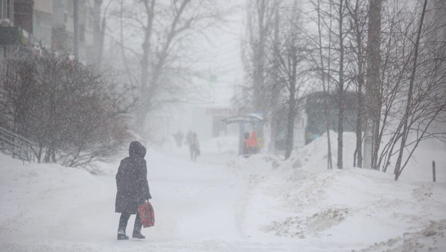    Фото: KazanFirst