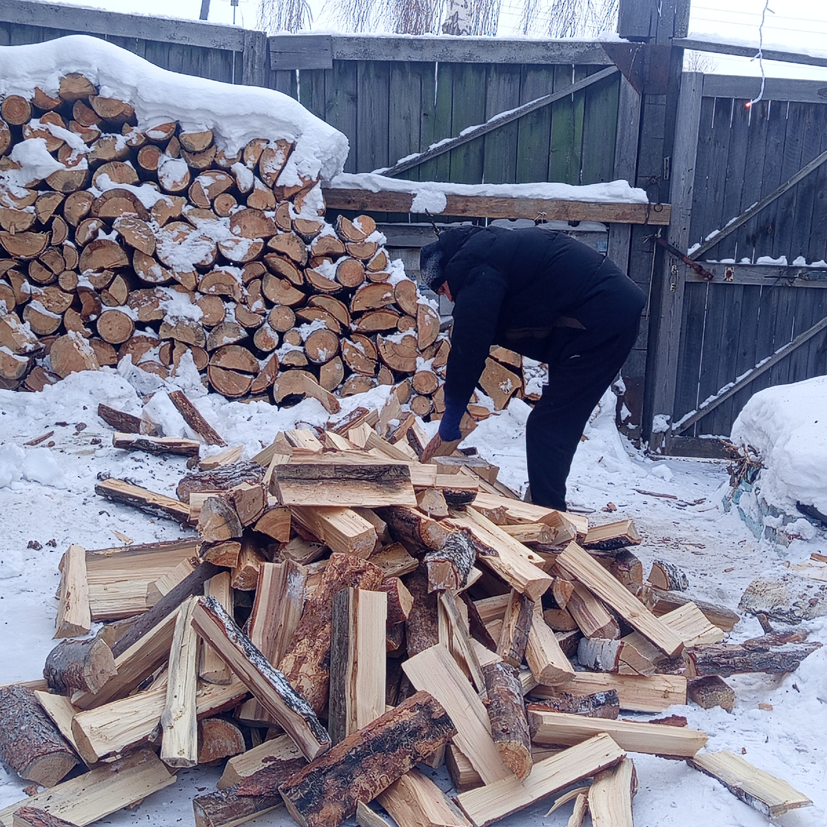 Фото автора. Несколько дней назад. 