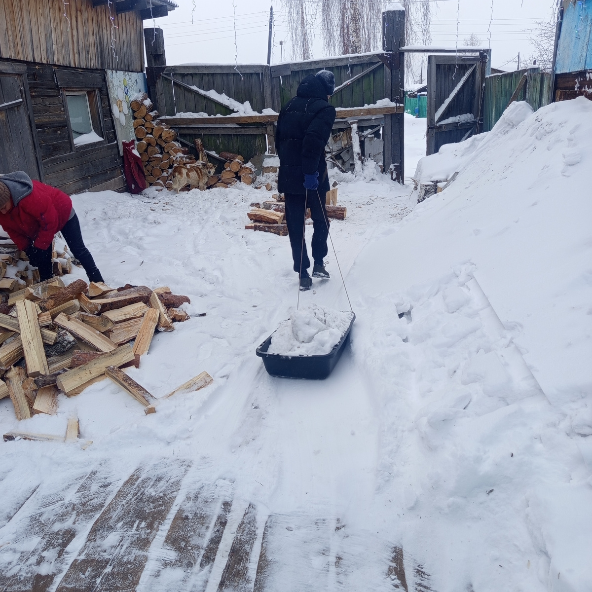 Фото автора. Сегодняшний день 13.01.2026.