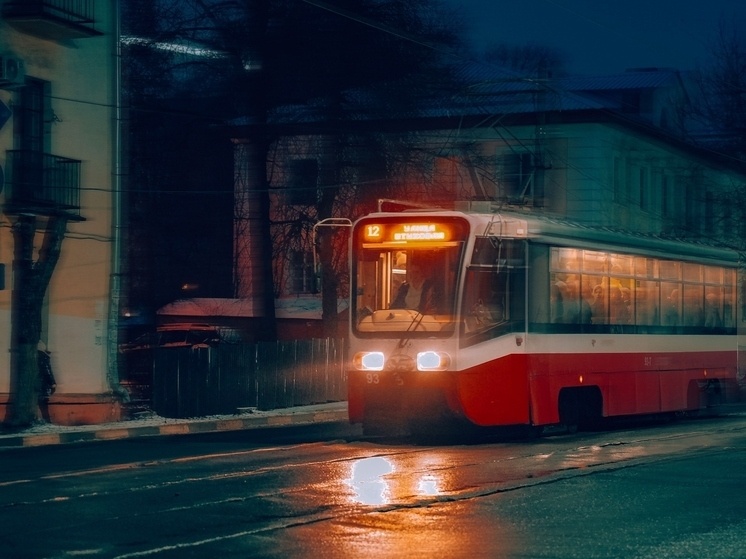     Фото: Светлана Мулыкина