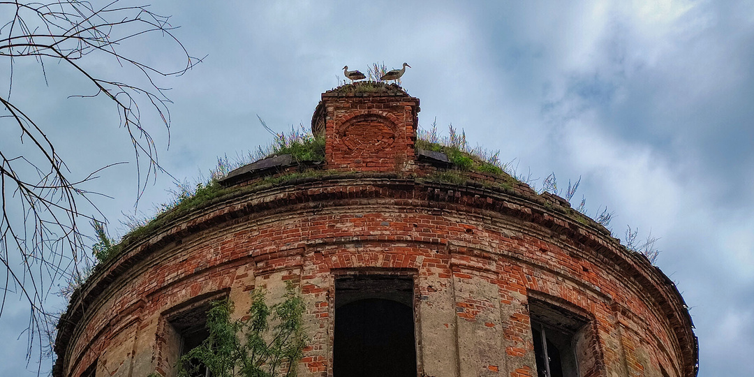 Забытый храм: Церковь Николая Чудотворца в Ольхах