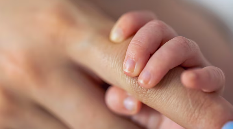 Фото: Фрипик