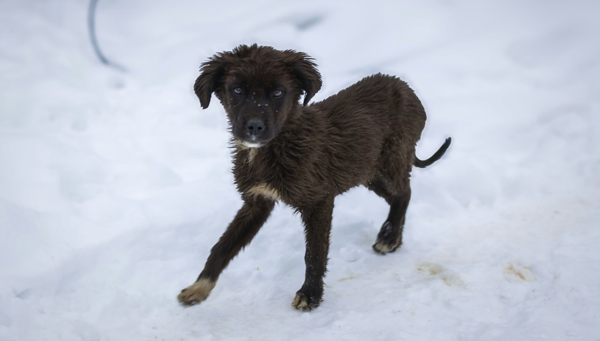     asif sharif/Unsplash