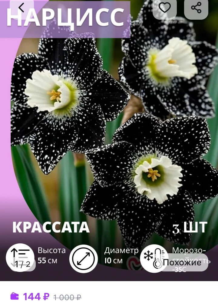 Скрин с Вайлдберриз