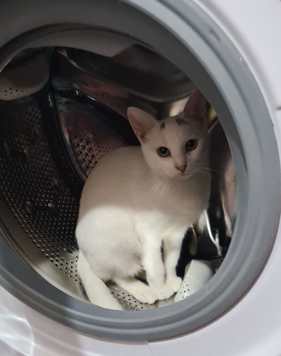 Нет, ее не стирали!