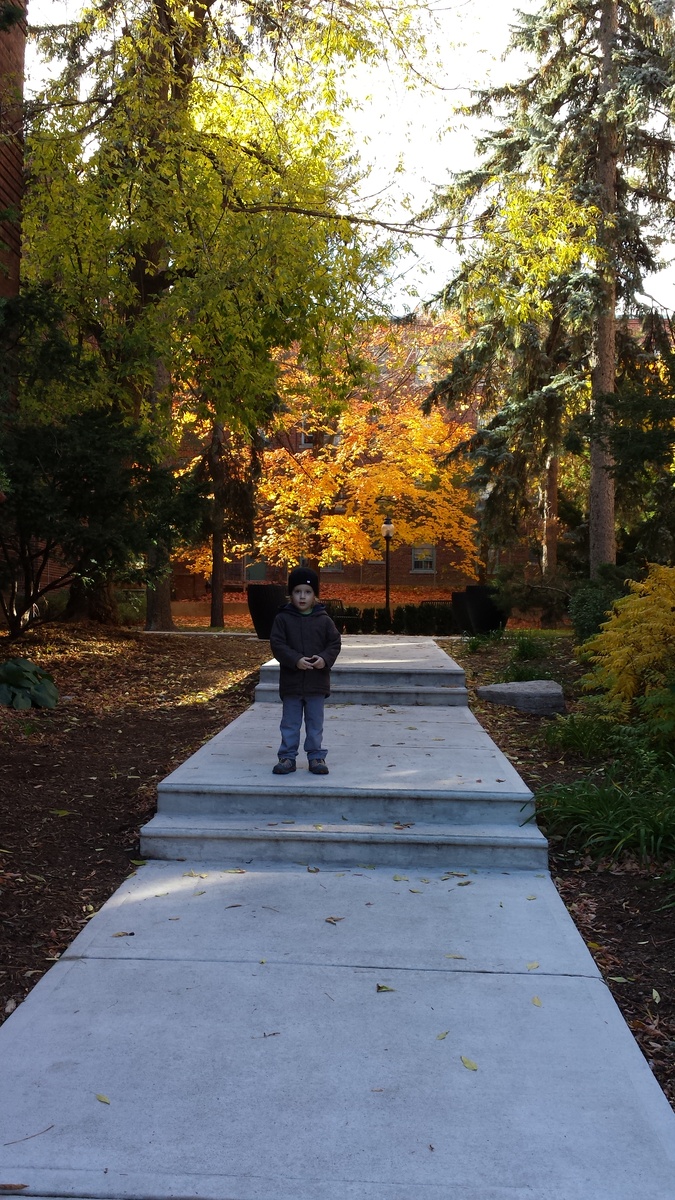 Парк возле дома на Yonge Street, 2015 год.
