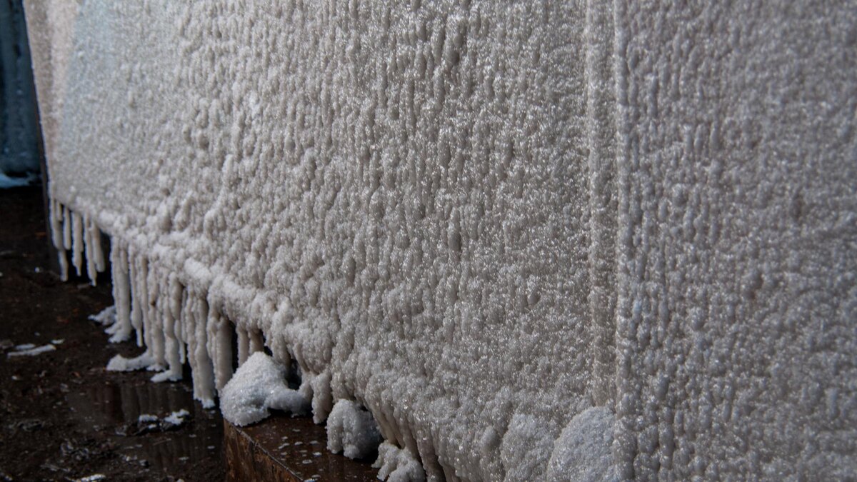     Svetlana Vozmilova/globallookpress.com