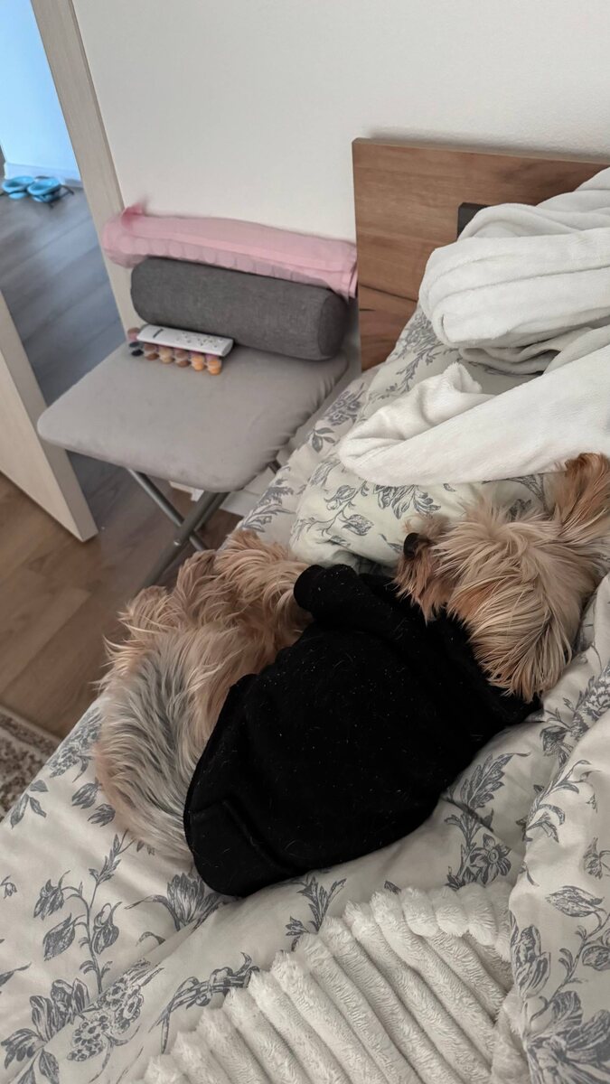 Просто нужна была фотка 