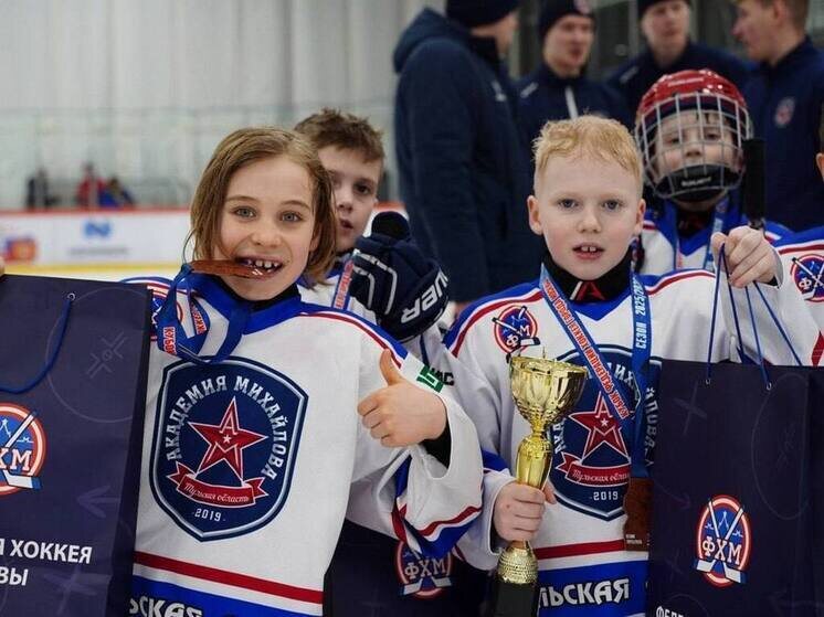     Фото: МХК "АКМ-Новомосковск"