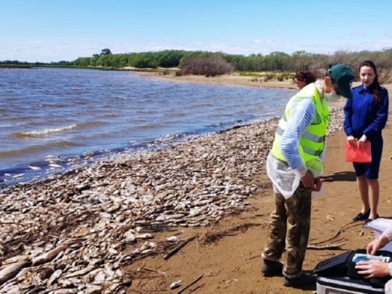 Фото: Амурская прокуратура