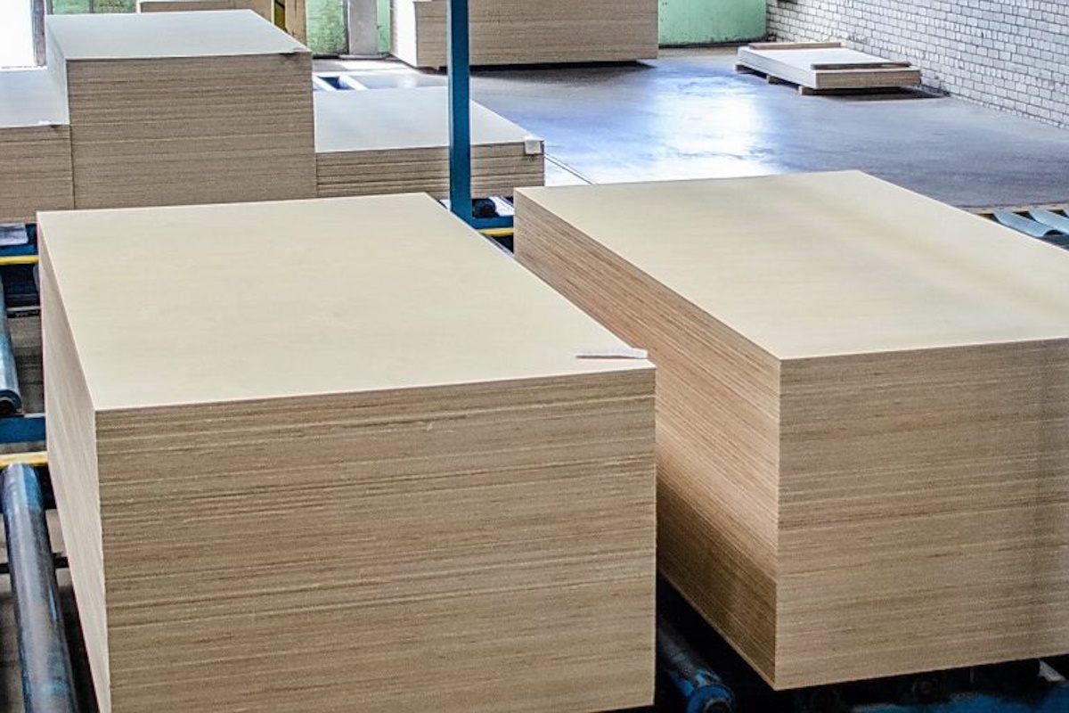    Фото: Россельхознадзор (Кировская область) источник: 43.fsvps.gov.ru