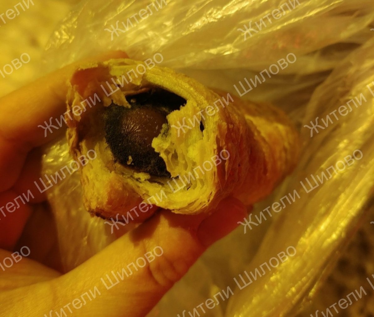     Фото: ВК "Жители Шилово (Воронеж)"