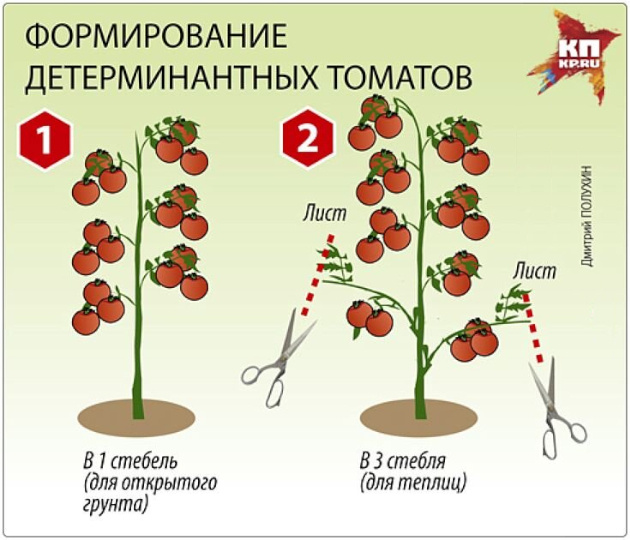 Графика: Дмитирй Полухин, KP.RU