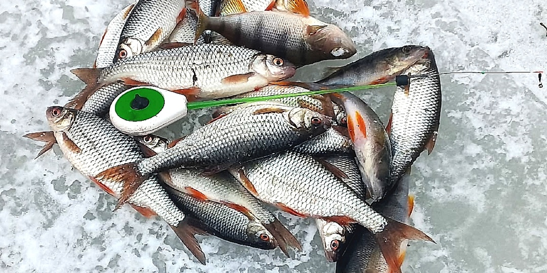 Где искать плотву в глухозимье.