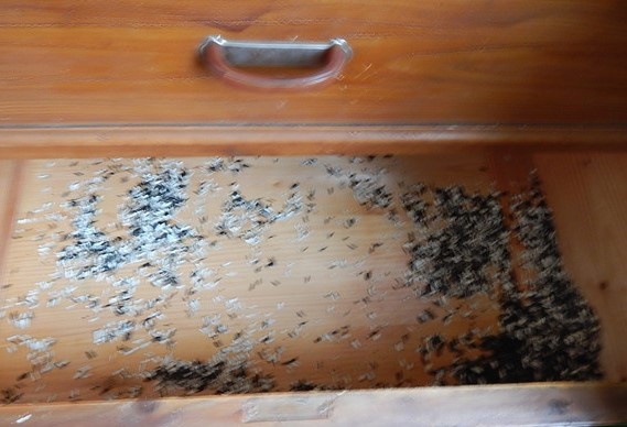 Фотография автора