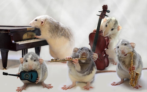 Картинка найдена на просторах интернета﻿