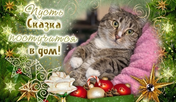 Маркус поздравляет все вас с Праздниками 🙏✨