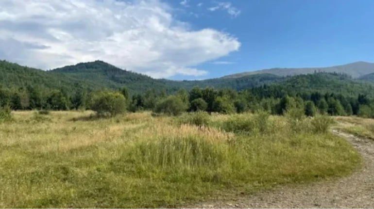    Prozorro Редакция