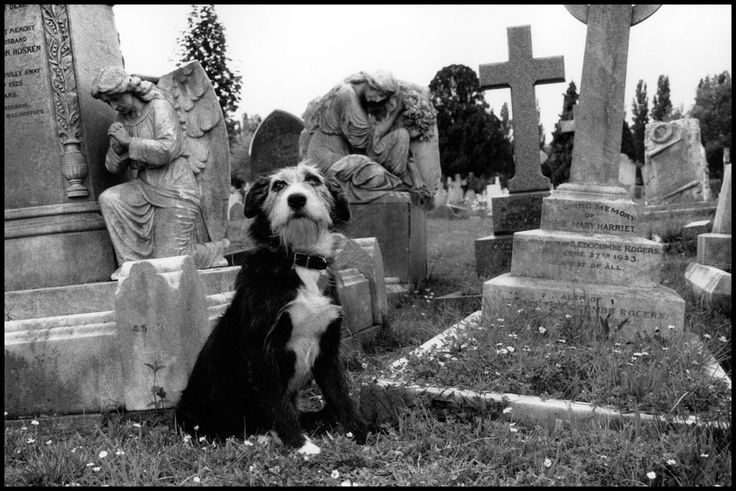 Картинка взята с открытого источника https://i.pinimg.com/736x/a9/f4/cc/a9f4cc6dc6ffe43528c18e1af59ec680.jpg Картинка взята с сайта https://i.pinimg.com/736x/a9/f4/cc/a9f4cc6dc6ffe43528c18e1af59ec680.jpg