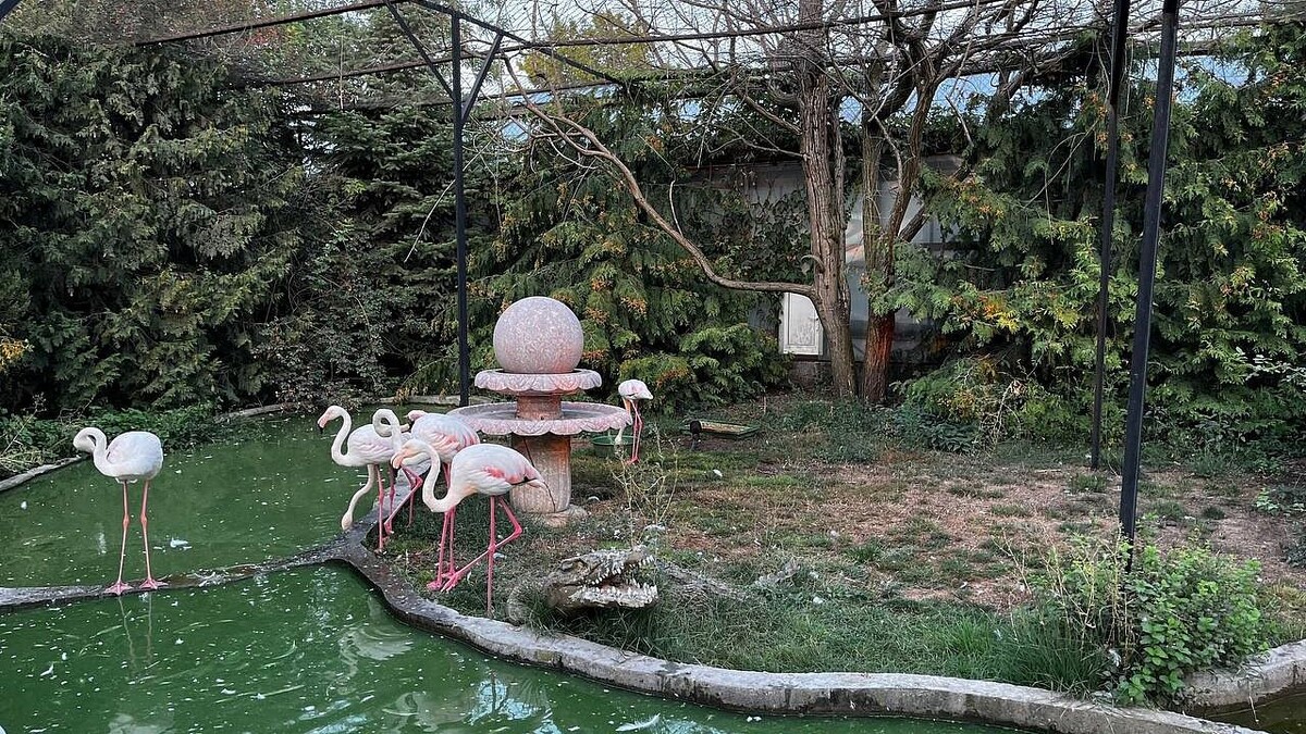    Фото: телеканал «Краснодар»