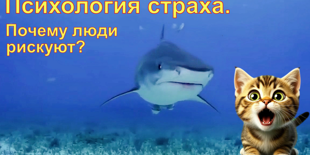 Когда страх становится развлечением: экстремальный туризм и жажда адреналина