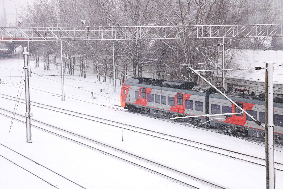    Фото: Vera Aksionava / Shutterstock.com