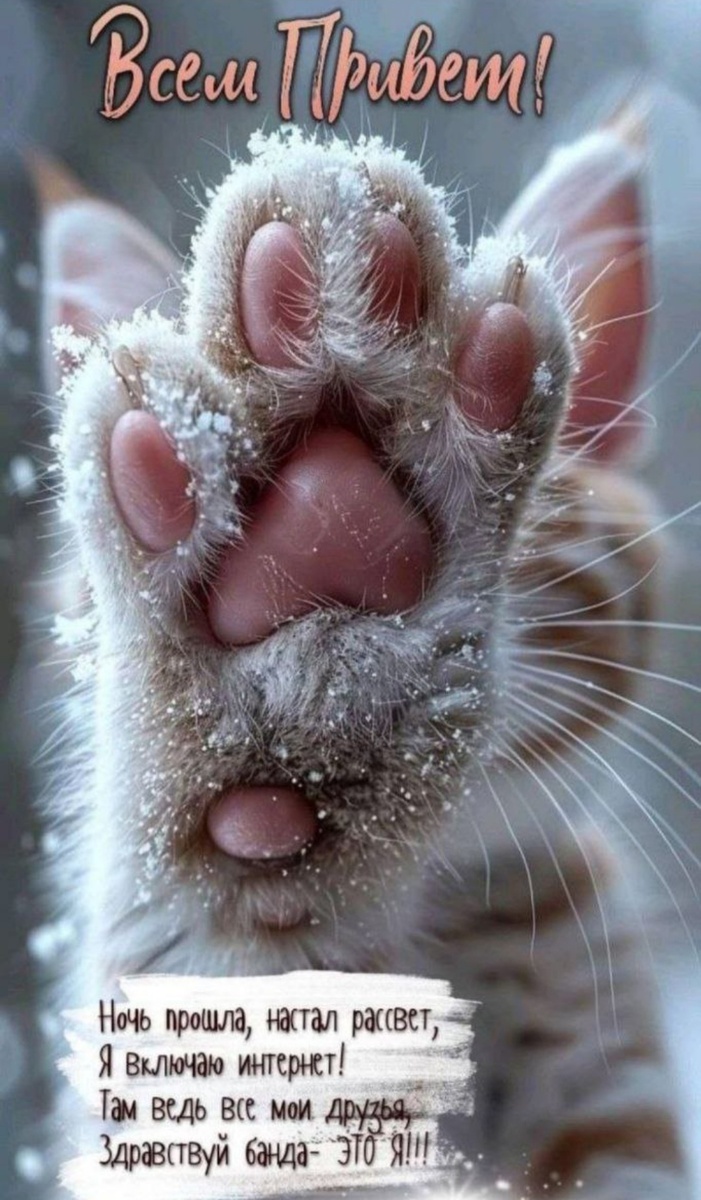 С просторов интернета.