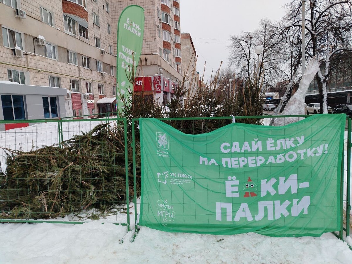 Фото: Евгения Черноусова / «РТ»