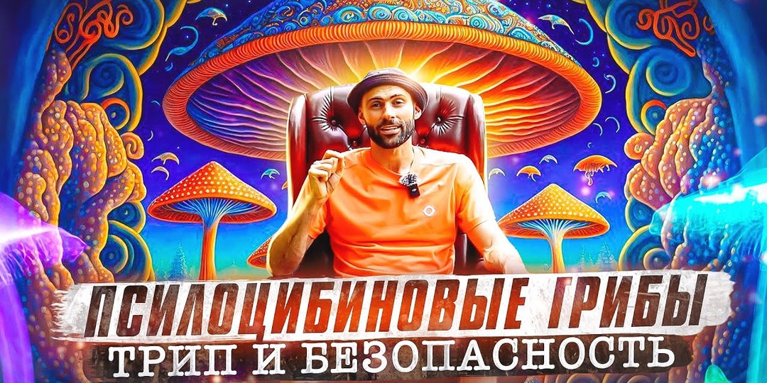 Как не стать жертвой грибов: психоделическое путешествие в мир шампиньонов и подберезовиков