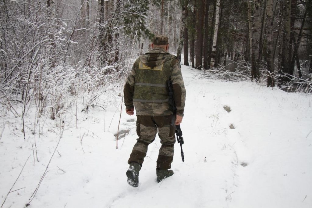 Лес кажется пустым и безопасным, пока вы не достанете ружье без лицензии в кармане.