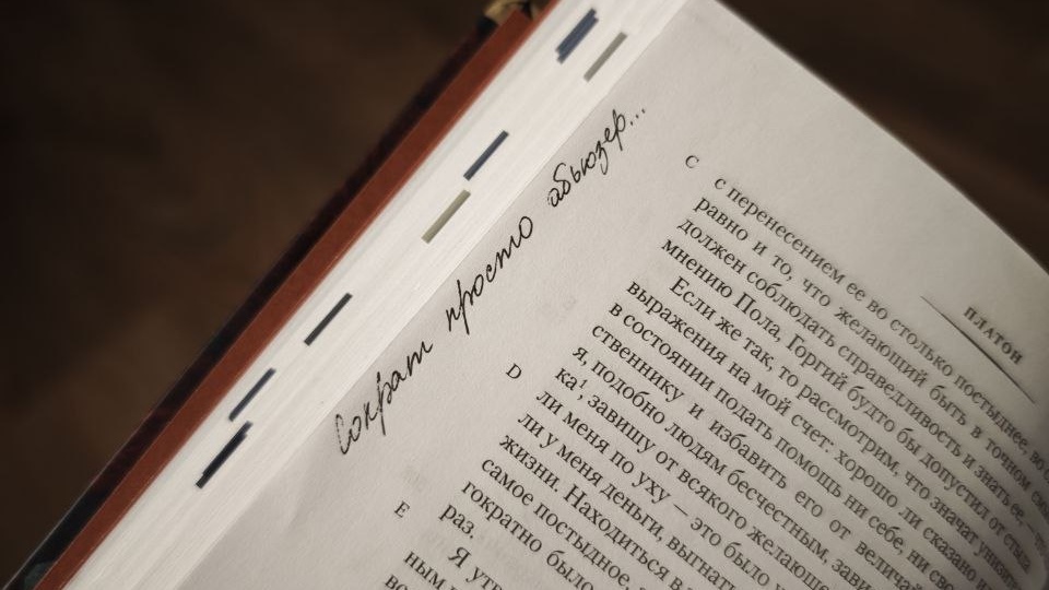 Случилось странное: я начала читать Платона