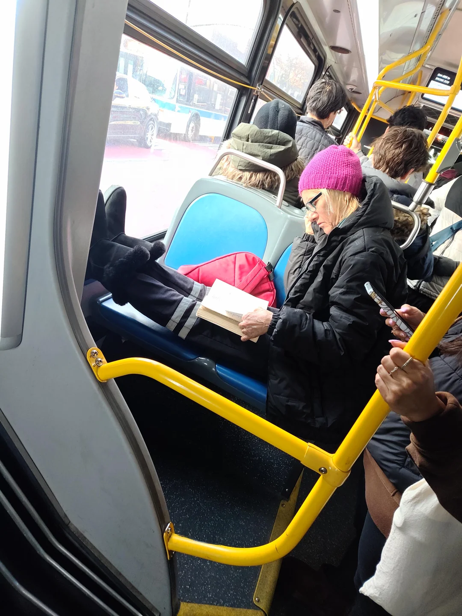 Источник: Particular-Rip4046 / reddit.com/r/mildlyinfuriating/comments/1qc1diq/lady_on_the_bus/ 